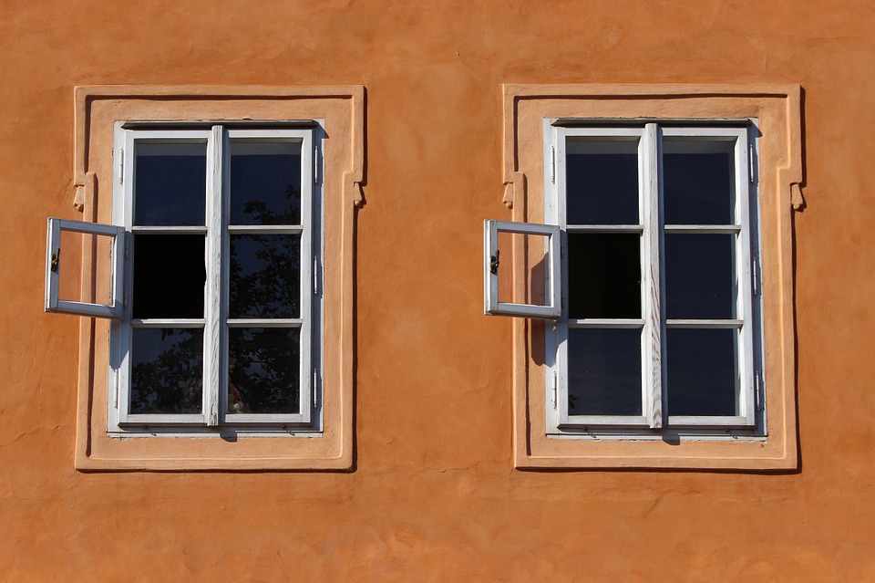 fenetres en bois