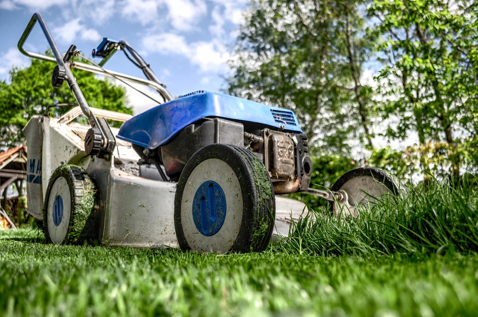 Choisir son chalet de jardin : les éléments importants que vous devrez prendre en compte