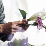 Fleurs immortelles