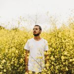 Fleurs jaunes lins