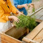 Comment bricoler un composteur DIY pour nourrir votre potager