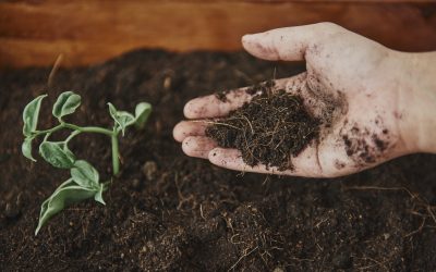 Jardinière sur pieds : construction étape par étape