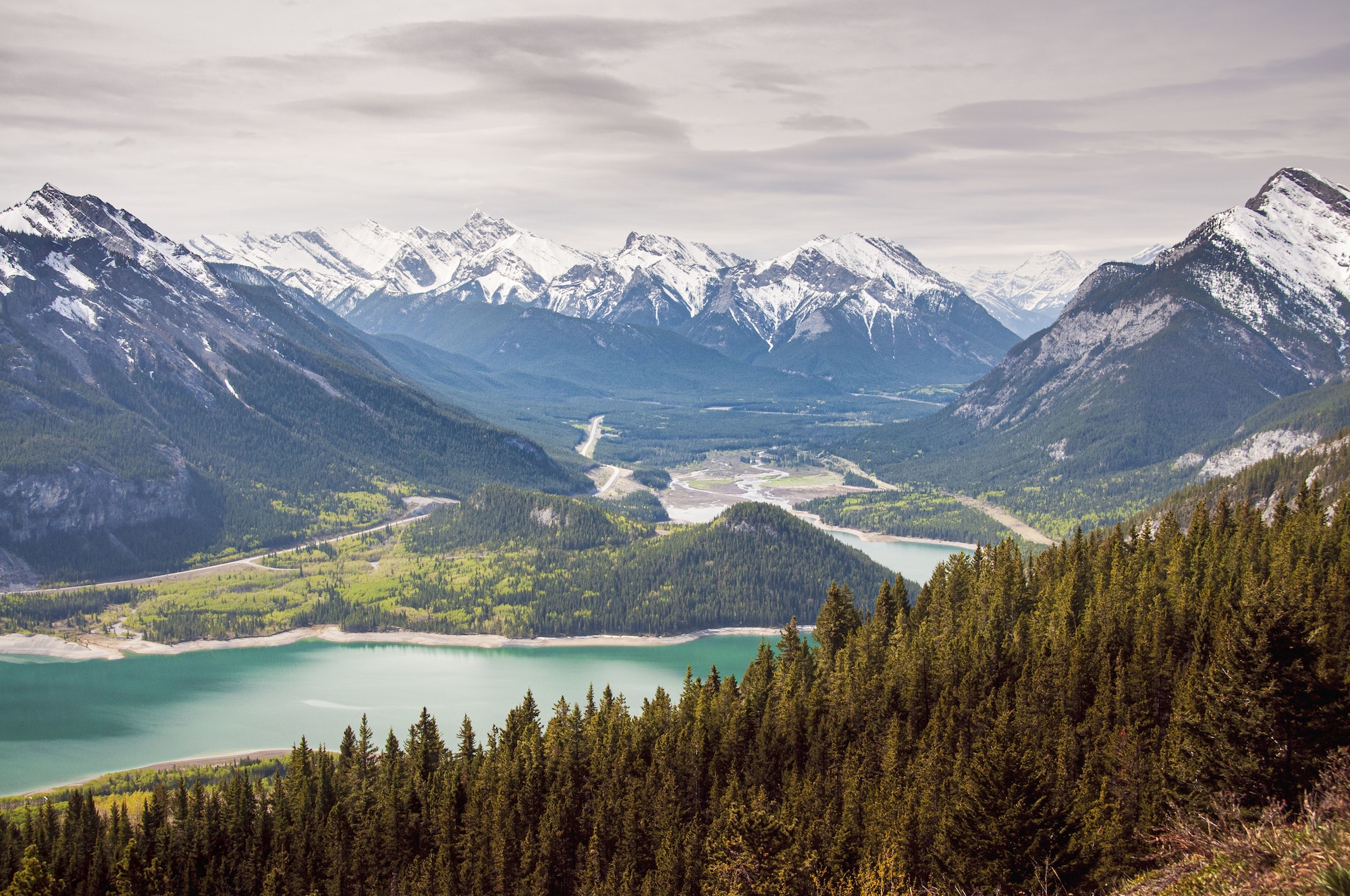 forêt de Kananaskis au Canada