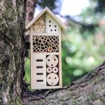 hôtel à insectes