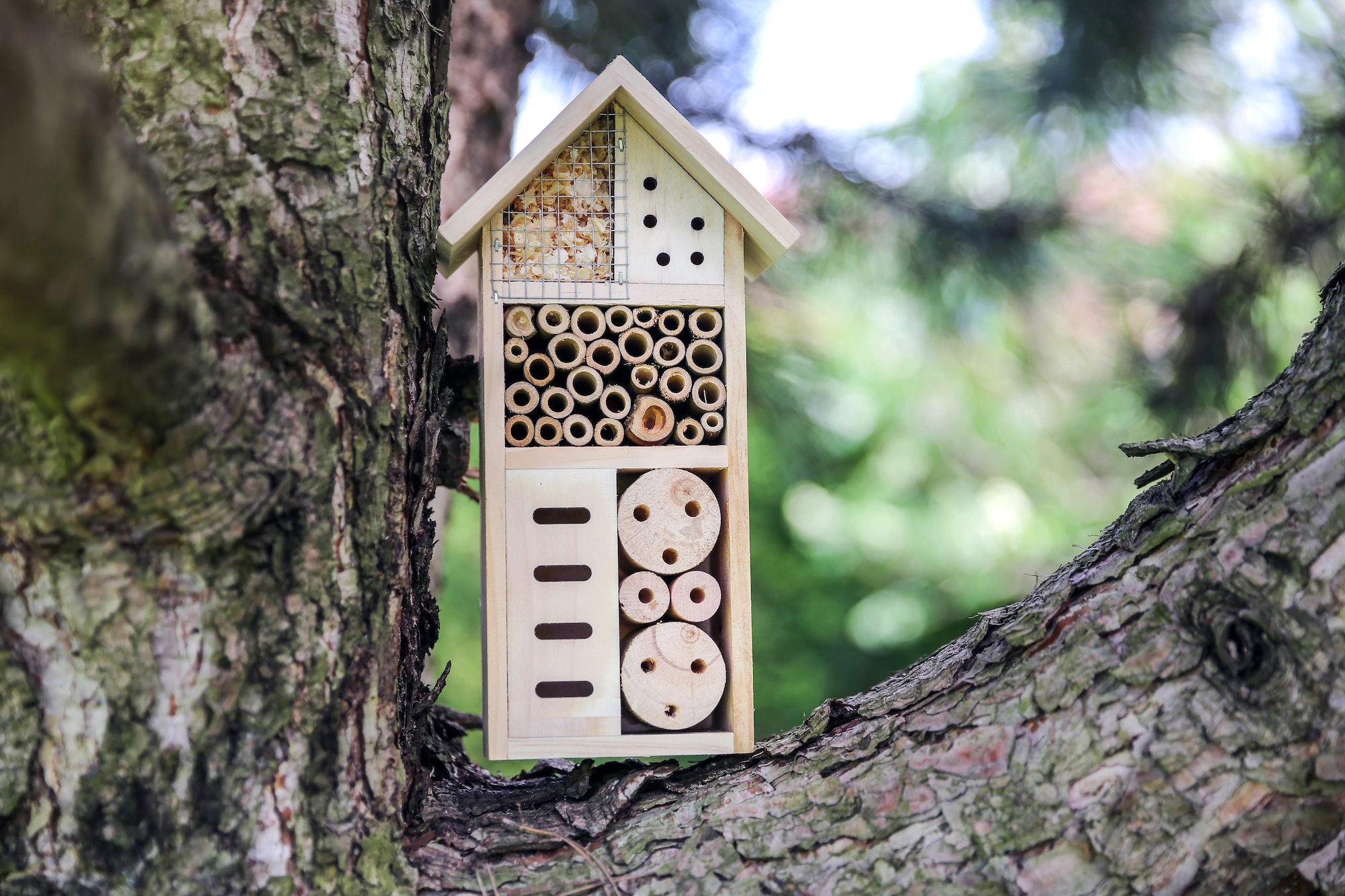 hôtel à insectes