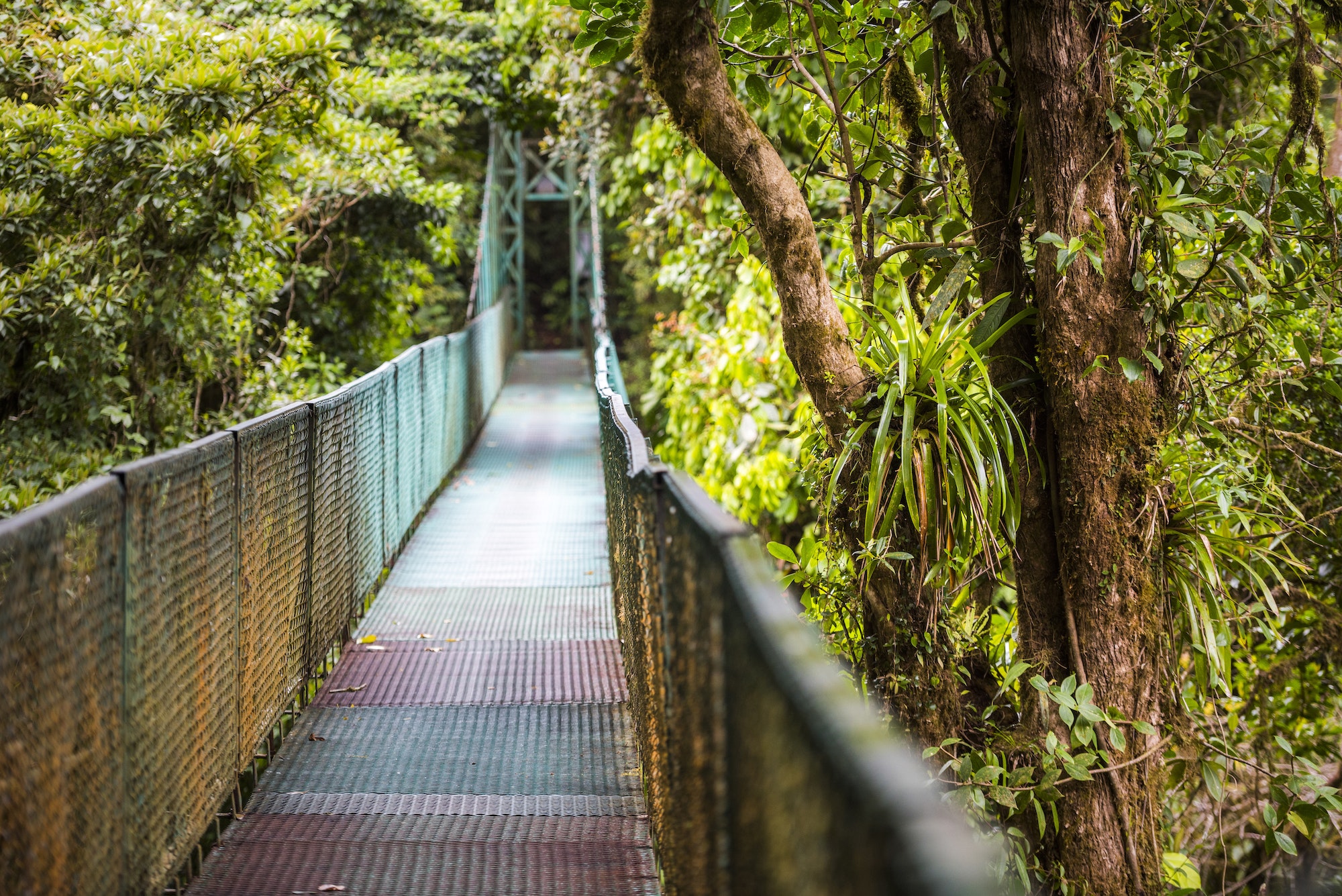parc national de Monteverde