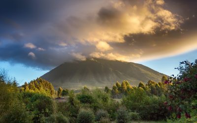 Comment participer aux activités de conservation du parc national des Virunga en République Démocratique du Congo