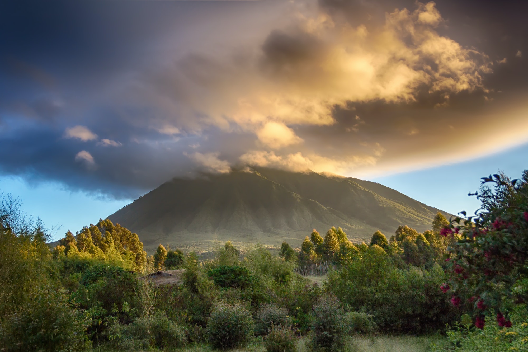 parc national des Virunga