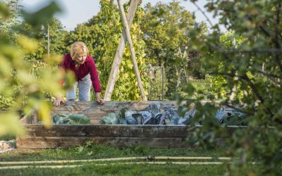 Les idées créatives pour aménager un potager en carré