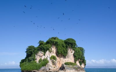 Les merveilles naturelles du Parc national de Los Haitises en République Dominicaine