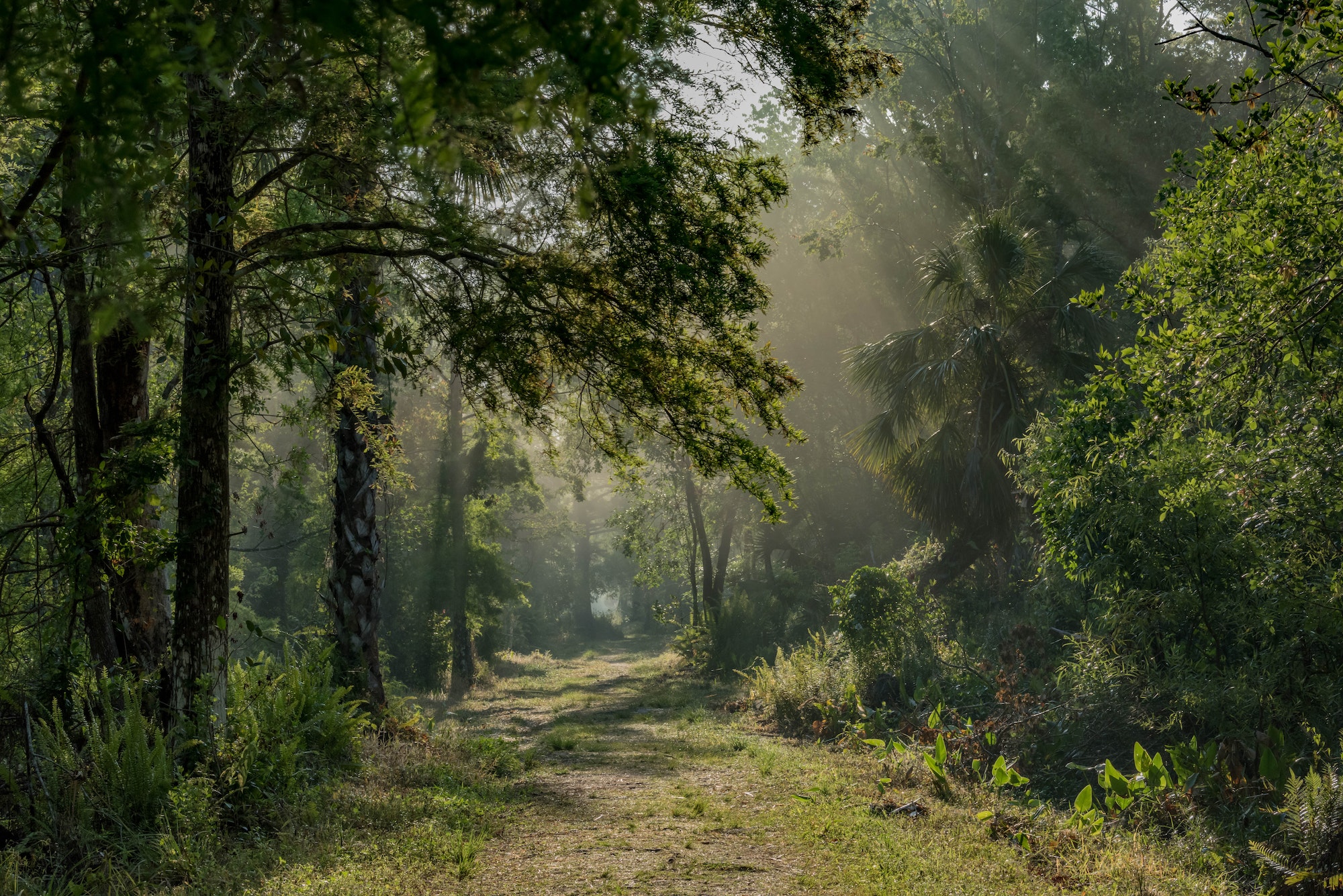 parc national des Everglades