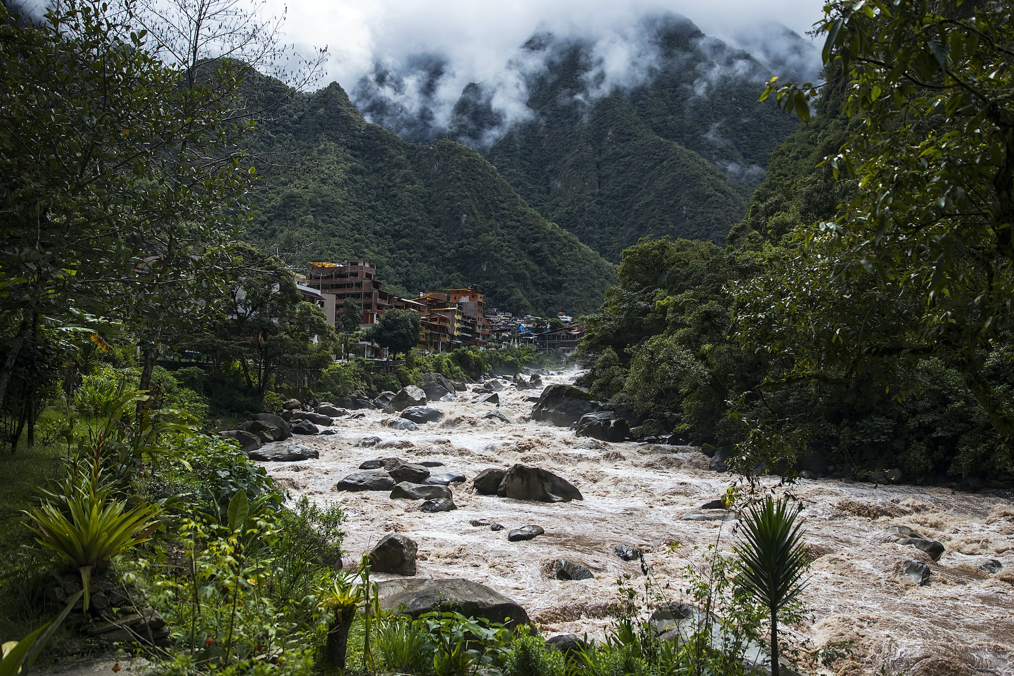 Amazonie péruvienne