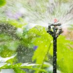 Arrosage automatique