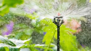 Arrosage automatique