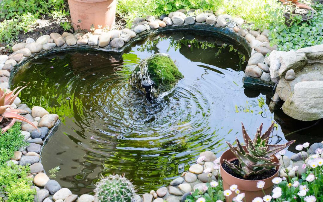 Astuces pour l’aménagement d’un bassin de jardin.