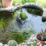 bassin de jardin