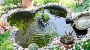 bassin de jardin