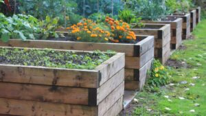 Potager dans un jardin