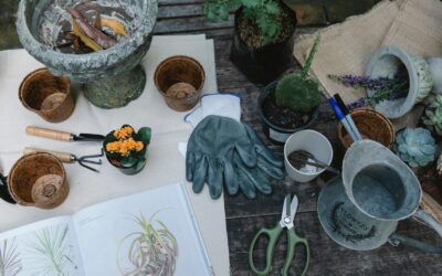 Gardez vos outils de jardin comme neufs : nos astuces d’entretien