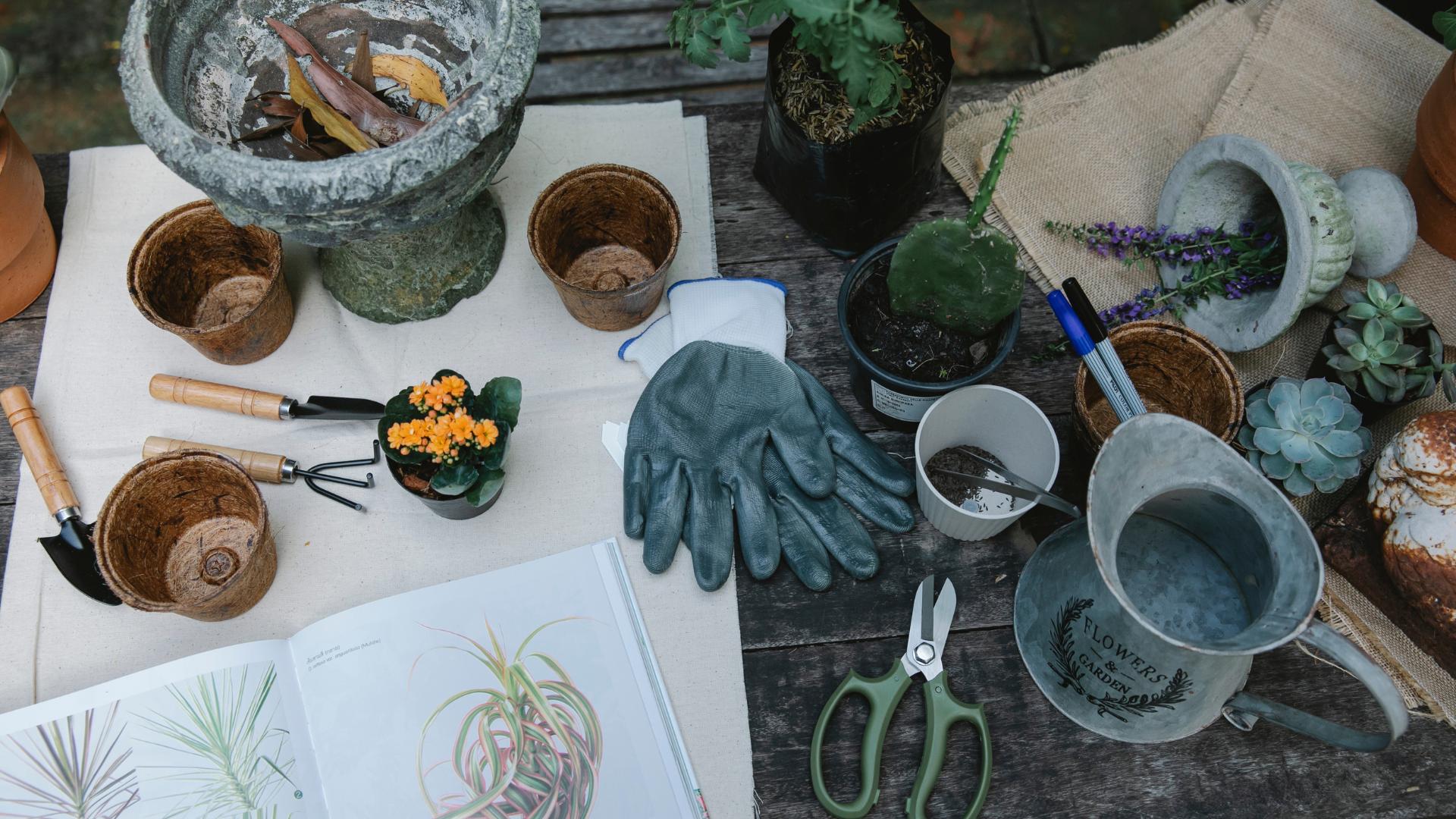outils de jardinage